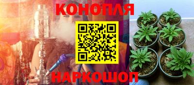 спиды Дубна