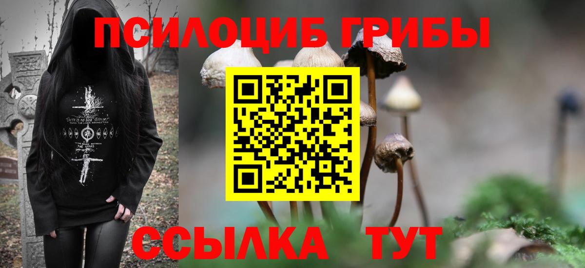 Псилоцибиновые грибы Cubensis  Вход с VPN  Новоалтайск 